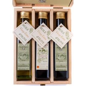 Set of 3 "Discovery" oils