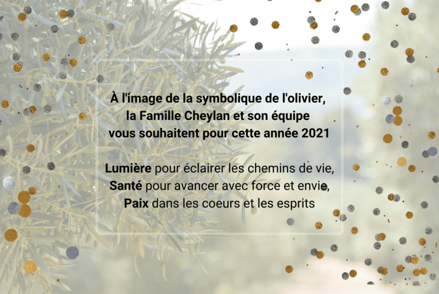 Bonne année 2021 Château Virant