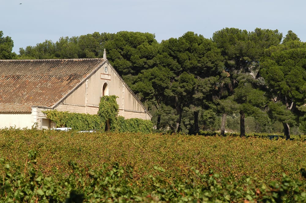 Cave-Fronton-et-Vignes