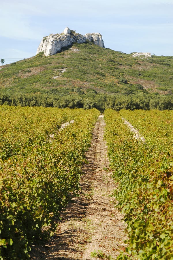 Vignes-et-Rocher-CV